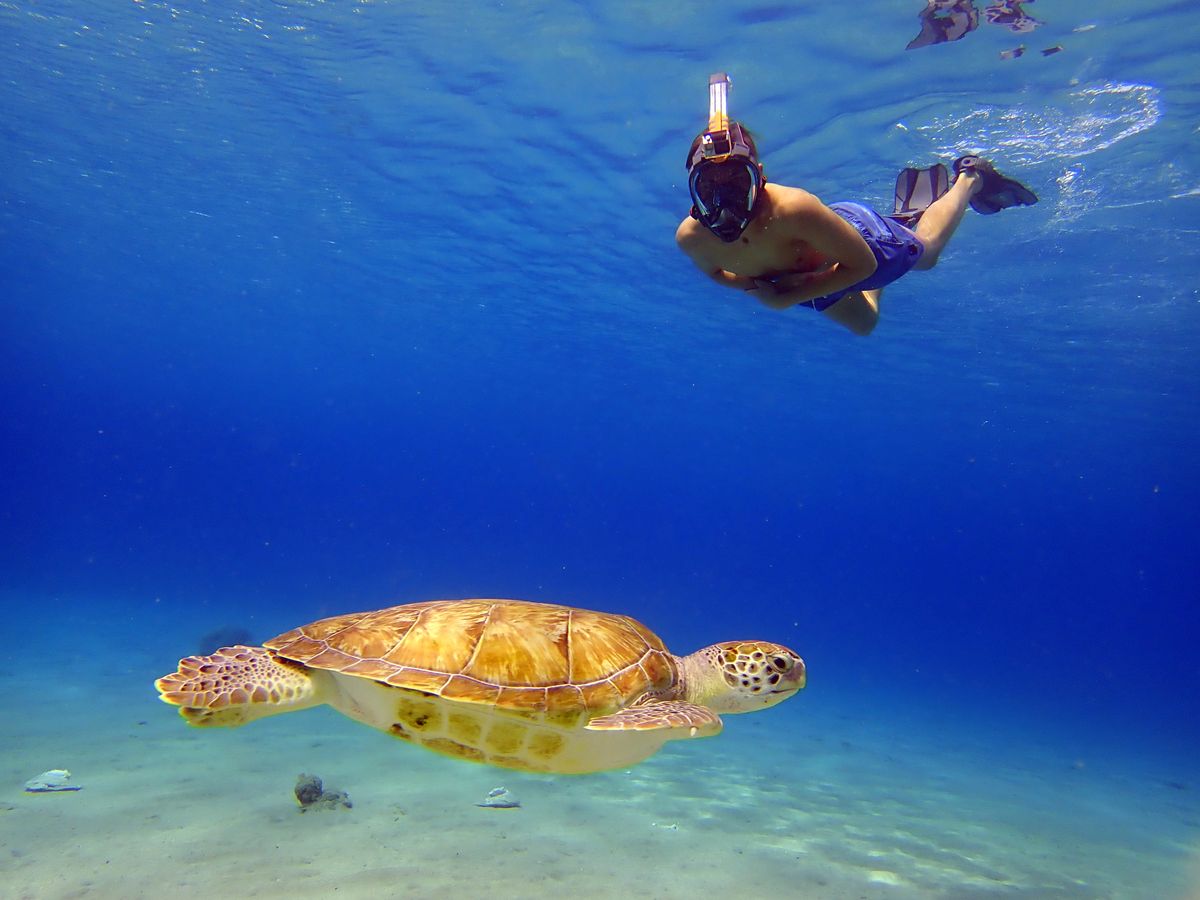 Snorkie Talkie - Underwater Walkie Talkie