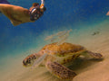 Snorkie Talkie - Underwater Walkie Talkie