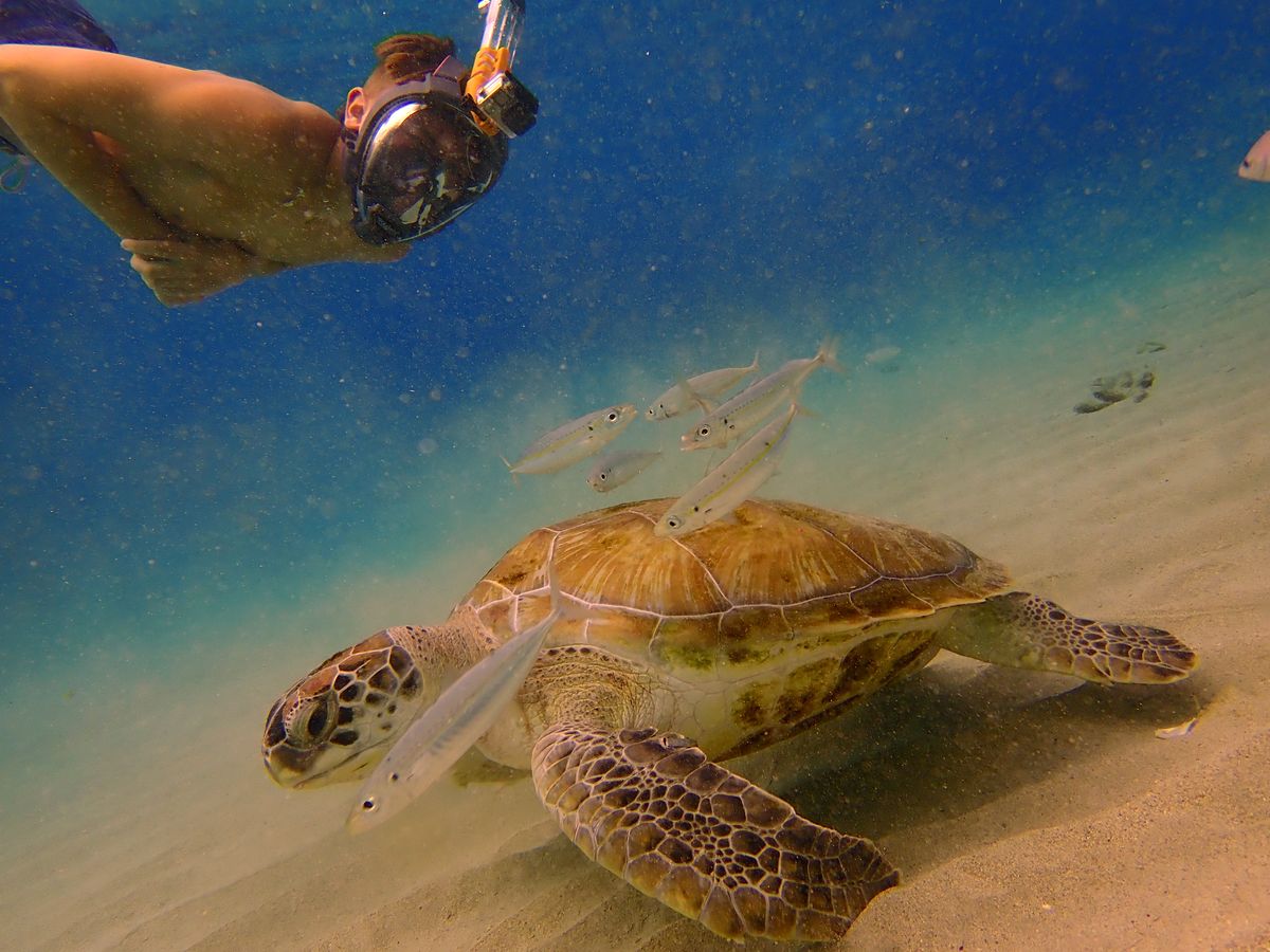 Snorkie Talkie - Underwater Walkie Talkie